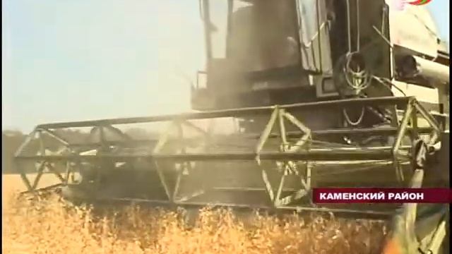 Каменский район. Уборка зеленого горошка смотреть онлайн