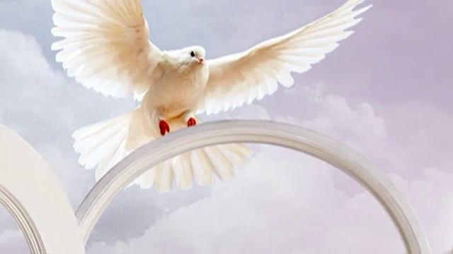 Территория богов или Банан раздора. смотреть онлайн