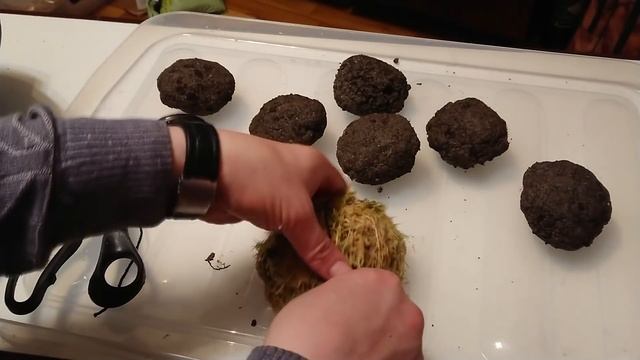 вабикуса своими руками (WABI-KUSA) смотреть онлайн