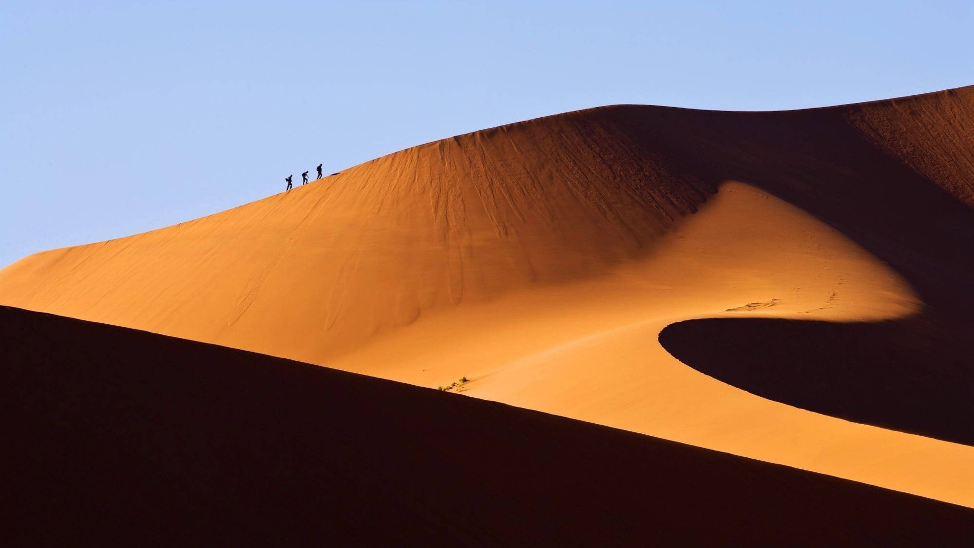 Namibia смотреть онлайн
