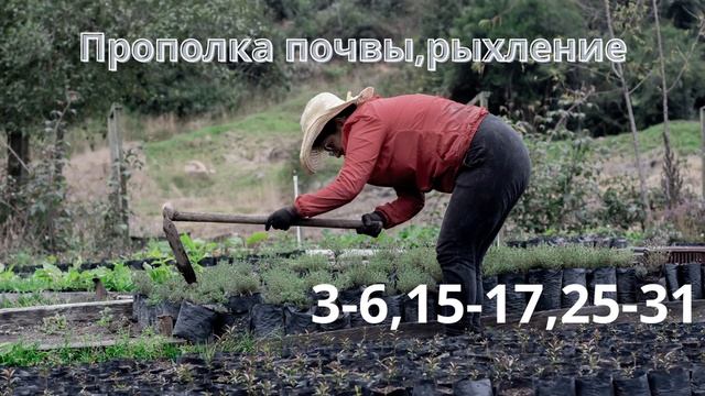 Лунный календарь цветовода на Май 2023 смотреть онлайн