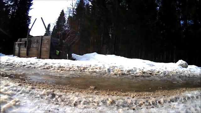 Kährikute vabastamine (Nyctereutes procyonoides) смотреть онлайн