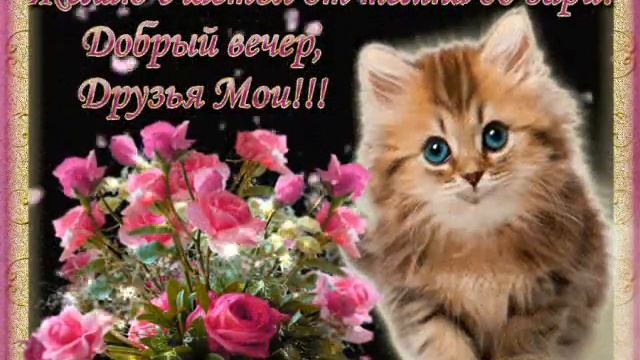 КРАСИВОЕ ПОЖЕЛАНИЕ ***ДОБРОГО ВЕЧЕРА*** смотреть онлайн