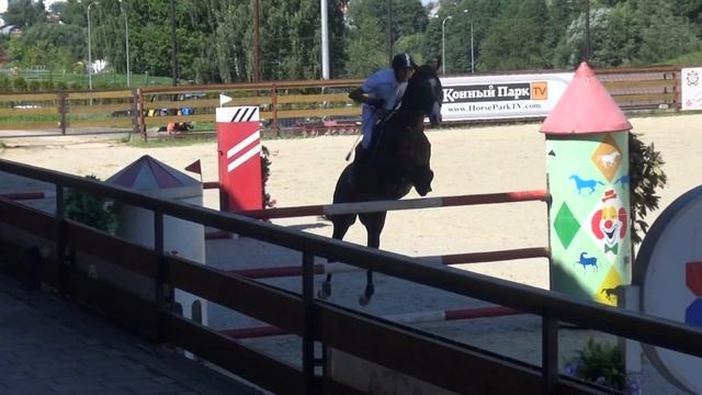 Ахалтекинский жеребец Аманклыч. Конкур 140см смотреть онлайн