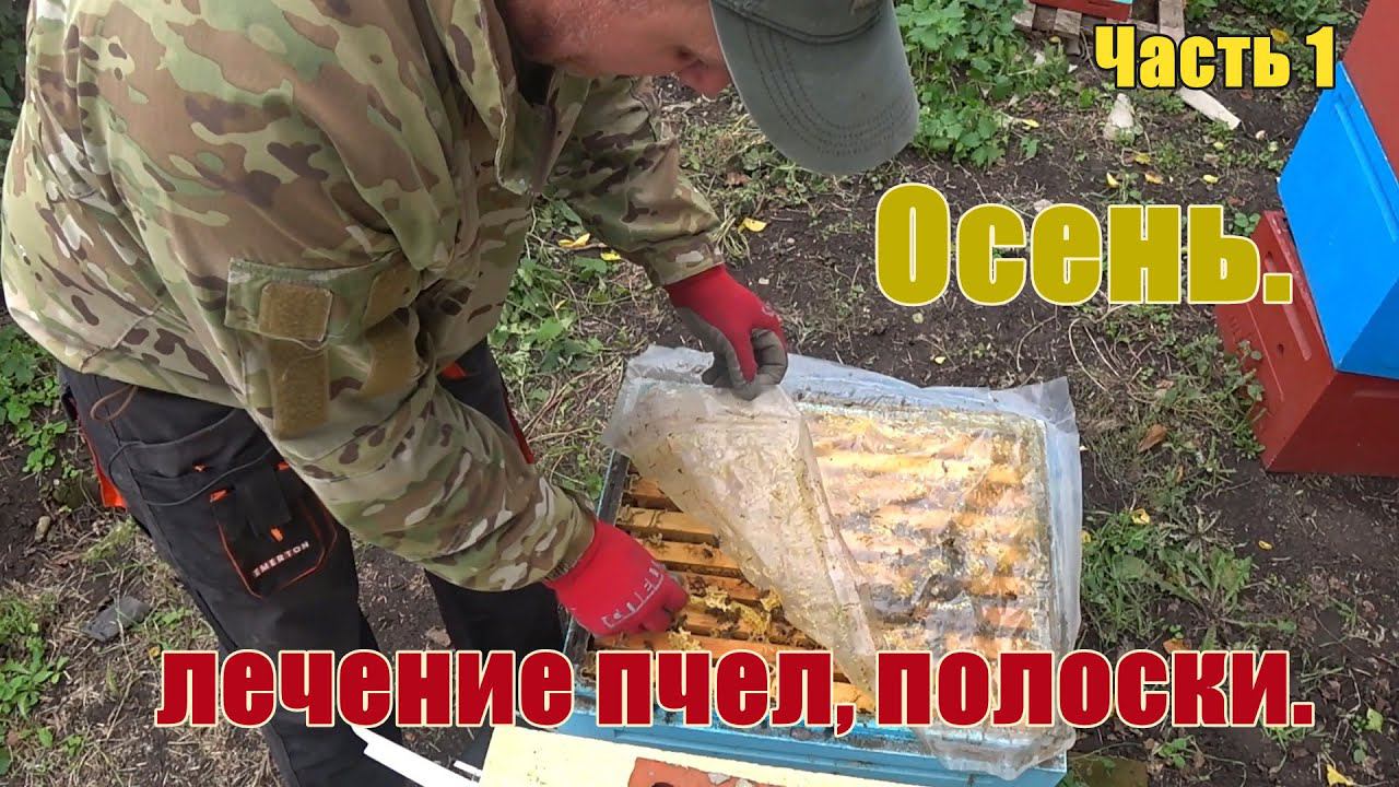 Осень, лечение пчел, полоски. Ч 1 смотреть онлайн