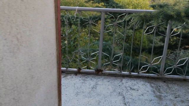 Bulgarian Properties | Bulgaria invest смотреть онлайн