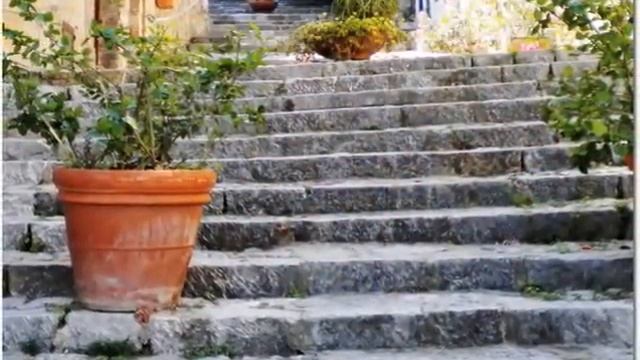 scario (sa) - foto смотреть онлайн