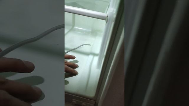 Вода в нижних полках на Капельных холодильниках. Как устранить проблему Ремонт холодильников смотреть онлайн
