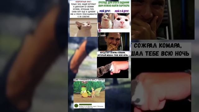 #shorts #memes #fyp (2) смотреть онлайн