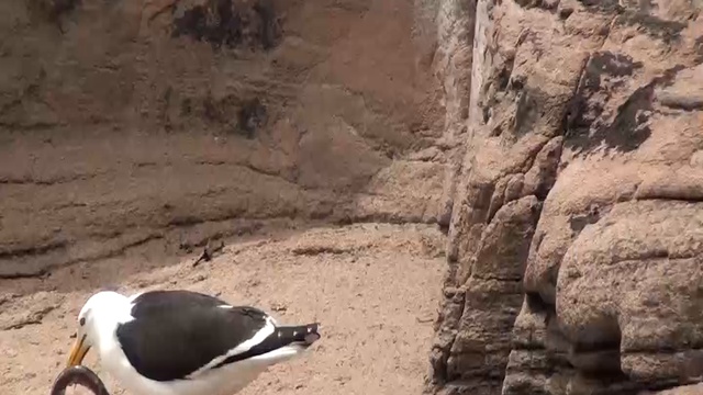 Я шагаю по земле