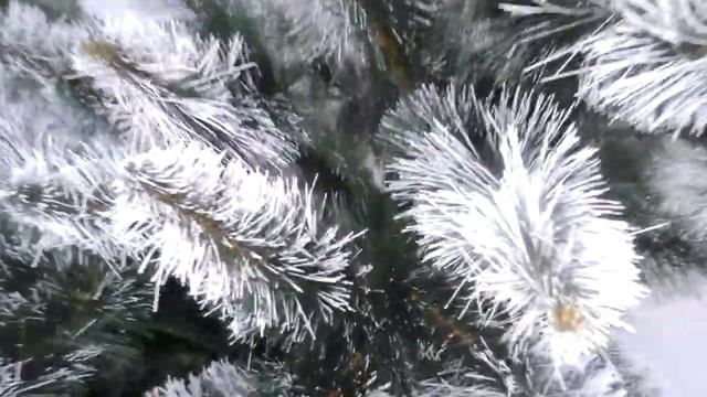 Ёлочка Заснеженная смотреть онлайн