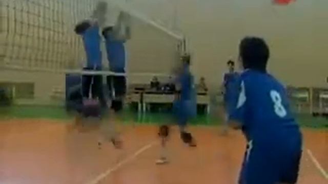 Тело человека Мышцы Musculus смотреть онлайн