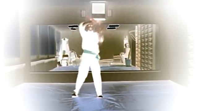 Каратэ У-вэй-рю Бу-дцюцу смотреть онлайн