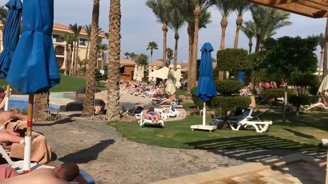 Tropitel Sahl Hasheesh 16.11.2022