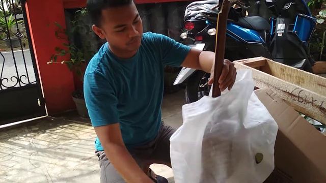 Unboxing gitar Yamaha F310 original смотреть онлайн