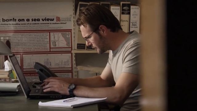 Самые БОЛЬШИЕ монстры океана! смотреть онлайн