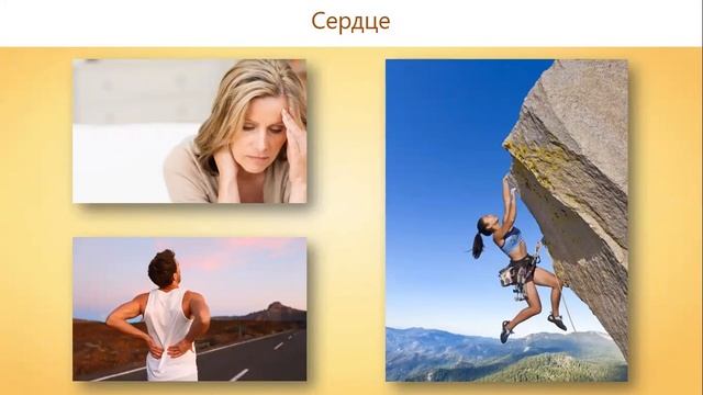 Движение крови и лимфы по сосудам смотреть онлайн