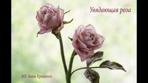 Увядающая роза из холодного фарфора. МК Анны Крахиной.