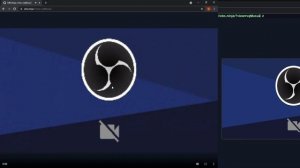 Как транслировать Веб-камеру или Экран? / OBS Ninja