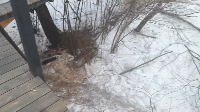 Домик на дереве, заканчиваем отделочные работы???.