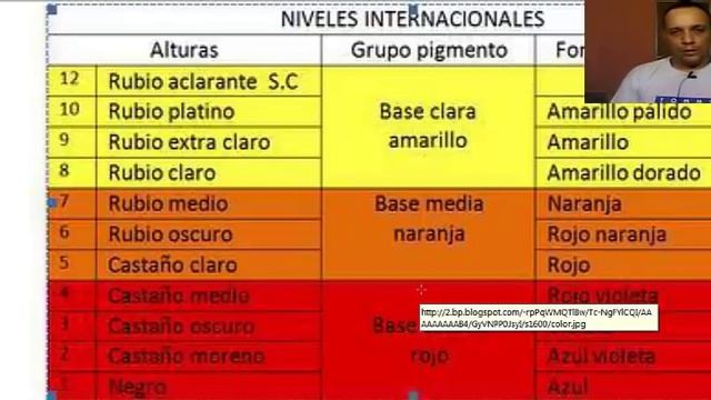 Como realizar un color ceniza How to do an Ashen Hair смотреть онлайн