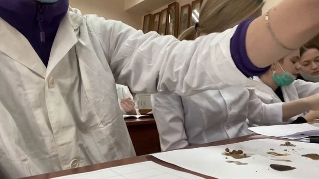 ЛАБОРАТОРНАЯ ПО ПОЧВОВЕДЕНИЮ | МАЗКИ ПОЧВ | 01-001 группа 2021 год смотреть онлайн