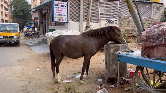 Индия | Путтапарти | бесконечный сериал | Моя Родина Земля смотреть онлайн