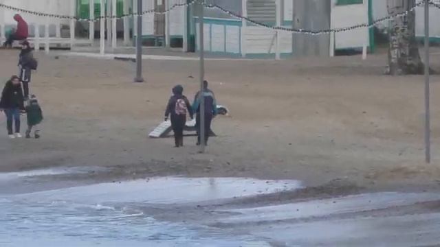 Анапа. Город, ШОК, море, лебеди, Светофор, пельмени, небо.