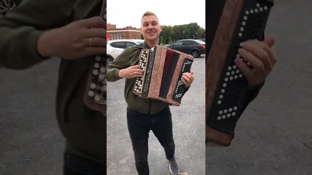 Белые розы на баяне смотреть онлайн