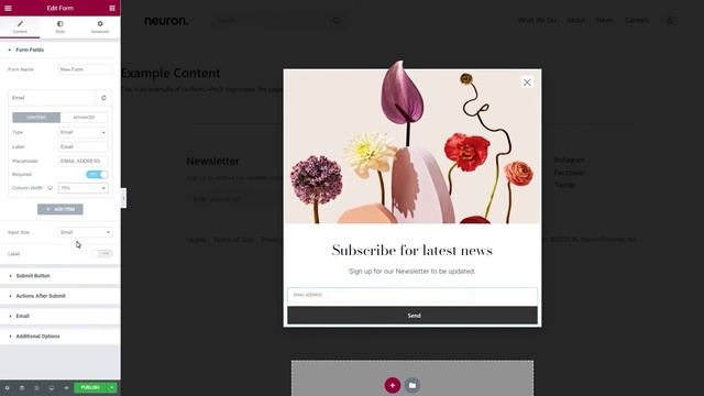 How to Create a Newsletter Popup in WordPress with Neuron Builder смотреть онлайн