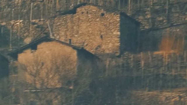 Panasonic Lumix DC-FZ82/FZ-80 With Intelligent Zoom смотреть онлайн