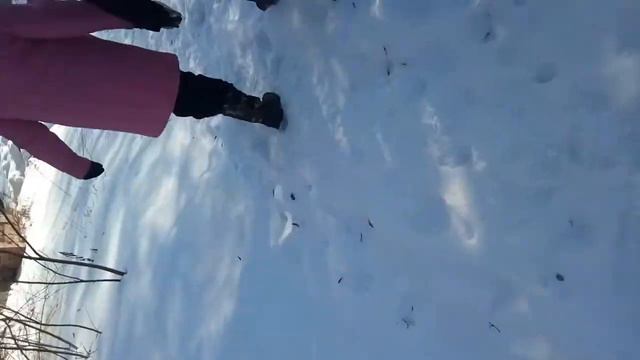 первое видео на реке Ипуть смотреть онлайн