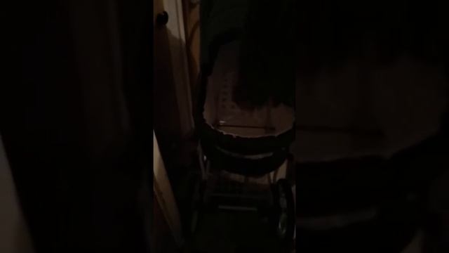 Verdi Faster Classic - Обзор (детская коляска 2 в 1, 3 в 1) смотреть онлайн