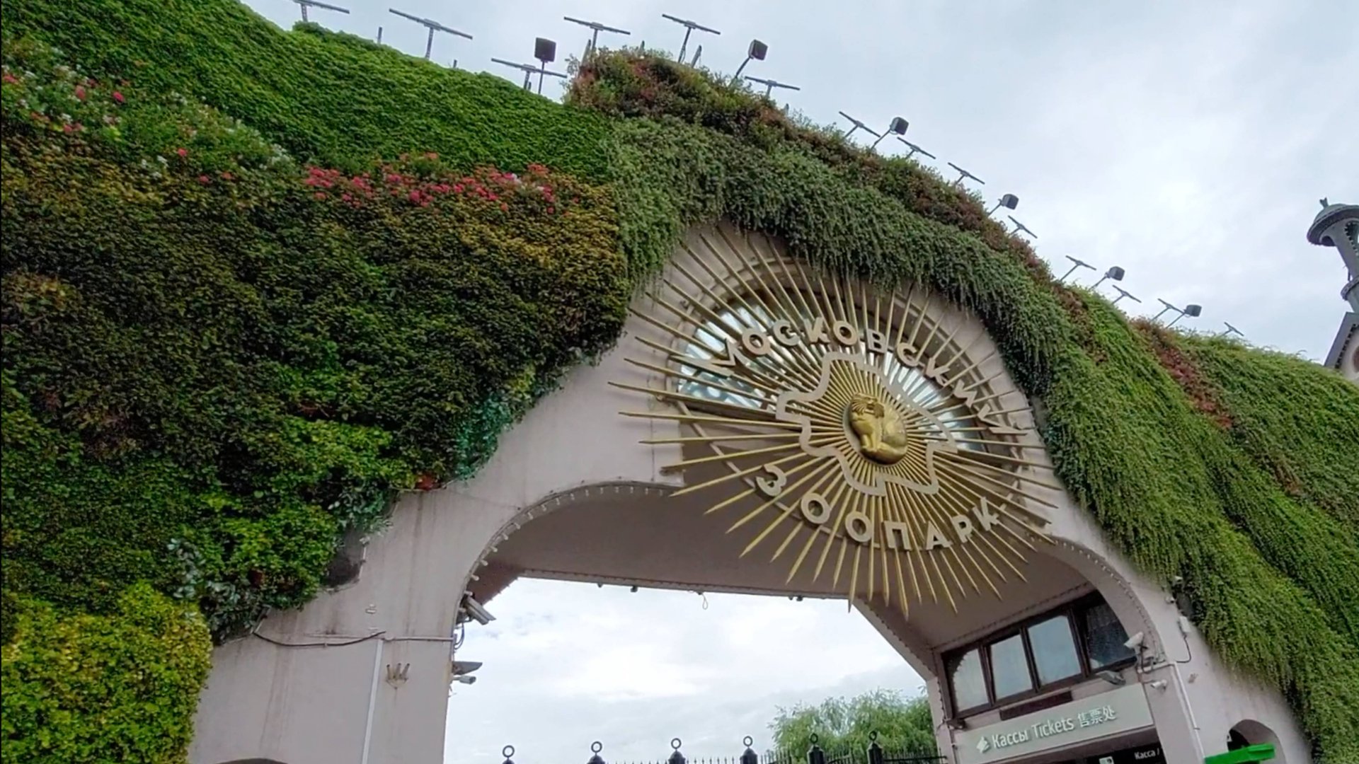 Московский зоопарк 2024 смотреть онлайн