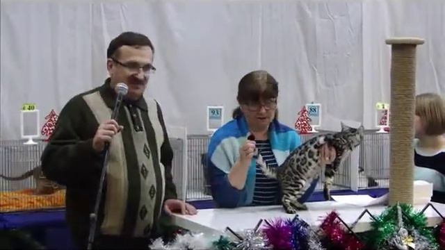 Ринг ВЦФ ведет судья Mrs. Louise Guezennec, Sweden (AB, non WCF) смотреть онлайн