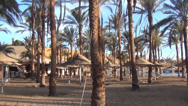 Dessole Seti Sharm Сети Шарм Египет январь 2020
