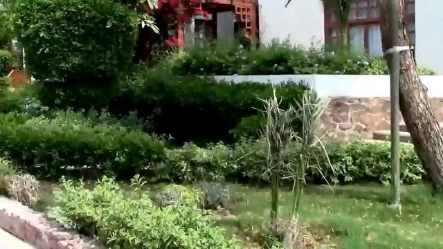 Египет. Хургада. Сафага. Отель  Menaville Safaga 4*