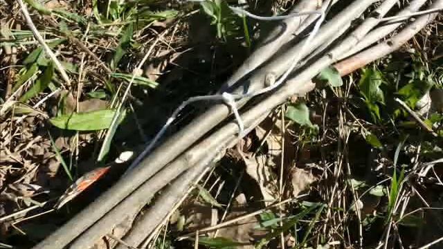 Зелёный шалаш своими руками смотреть онлайн