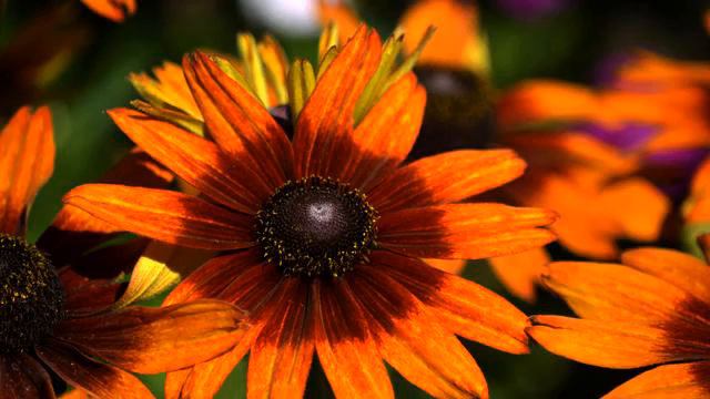 Топ красивых русских песен о любви 2015 смотреть онлайн