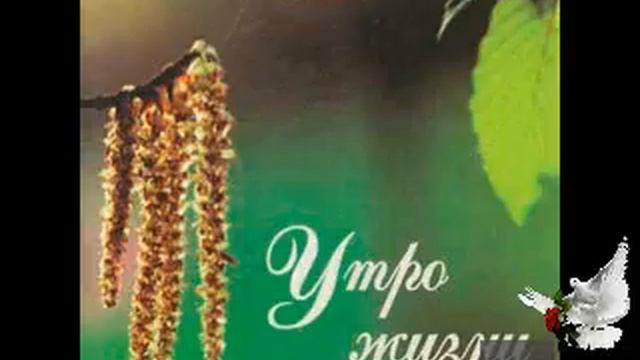 Тает время быстрое смотреть онлайн