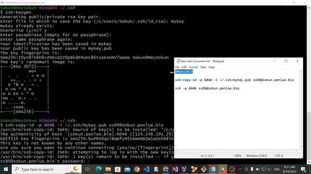 SSH and Real Server смотреть онлайн