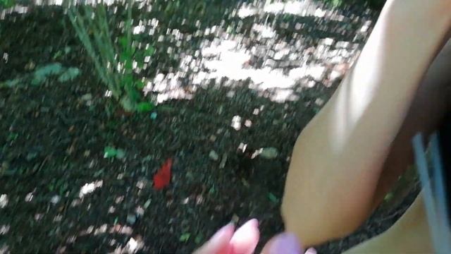 Гуляем по Кубинской глубинке, увидели как растёт кофе, голубой агава, ягодки названия Алиша! смотреть онлайн