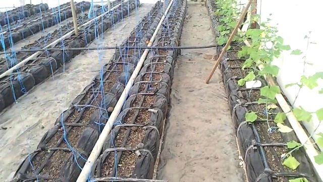 Отопление в теплице дизельная пушка и таймер смотреть онлайн