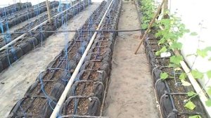 Отопление в теплице  дизельная пушка и таймер