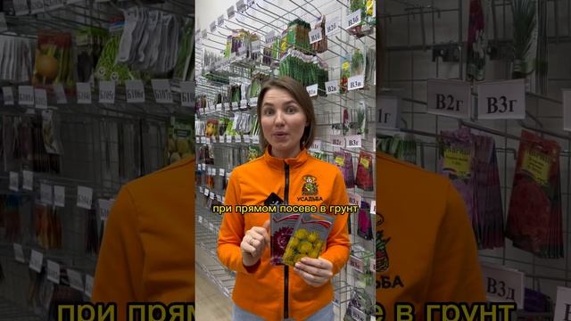 Какие семена цветов можно посадить в ОГ?Усадьба-Семена поможет с выбором | usadba-semena.ru смотреть онлайн