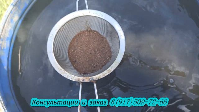 Абиссинка "Мечта бурильщика" смотреть онлайн