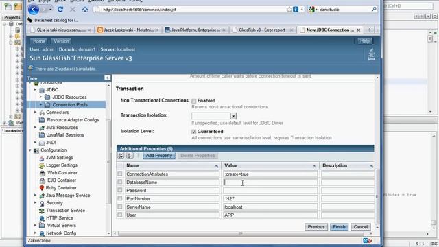 Deploying JEE application on Glassfish v3 using netbeans 6.8 part 2 смотреть онлайн