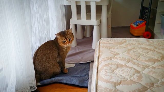 В Л О Г .........ТУРЦИЯ / ИЗМИР смотреть онлайн