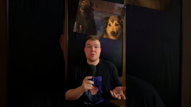 ХН #9 Хорошая новость! Собаки общаются по видеосвязи! #новости #животные #собаки смотреть онлайн