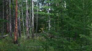 4k(UHD) Мегалиты Сибири. Забайкалье.